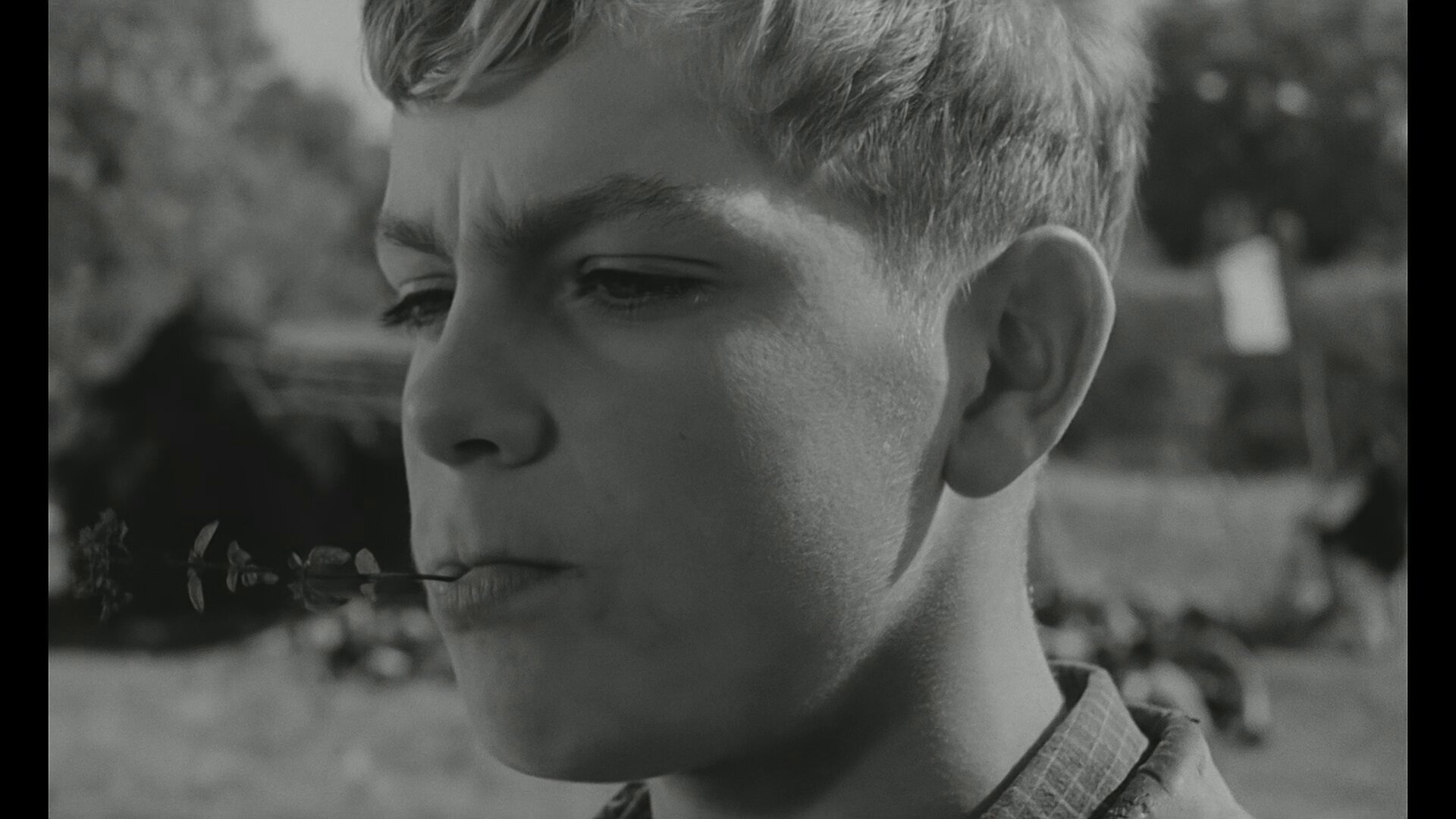 Guerre des boutons Andre Treton 10