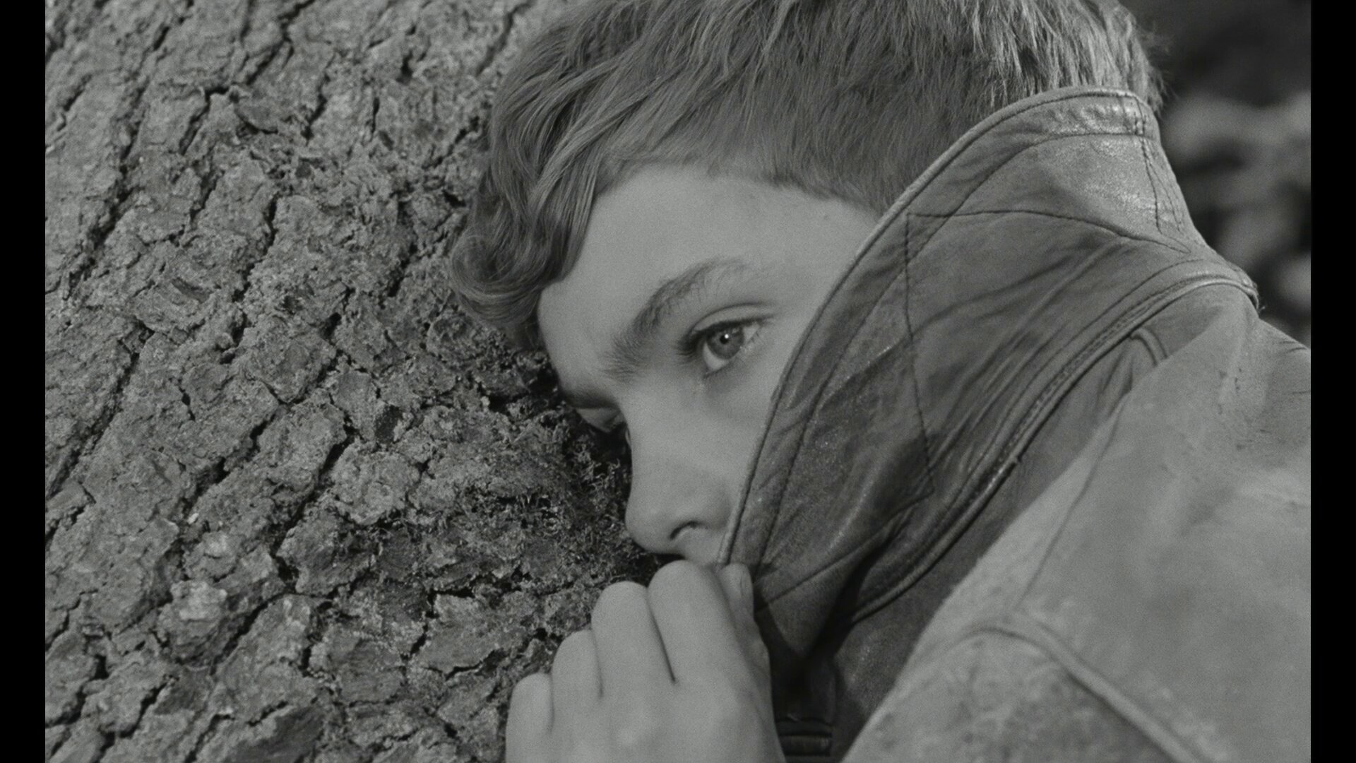Guerre des boutons Andre Treton 14