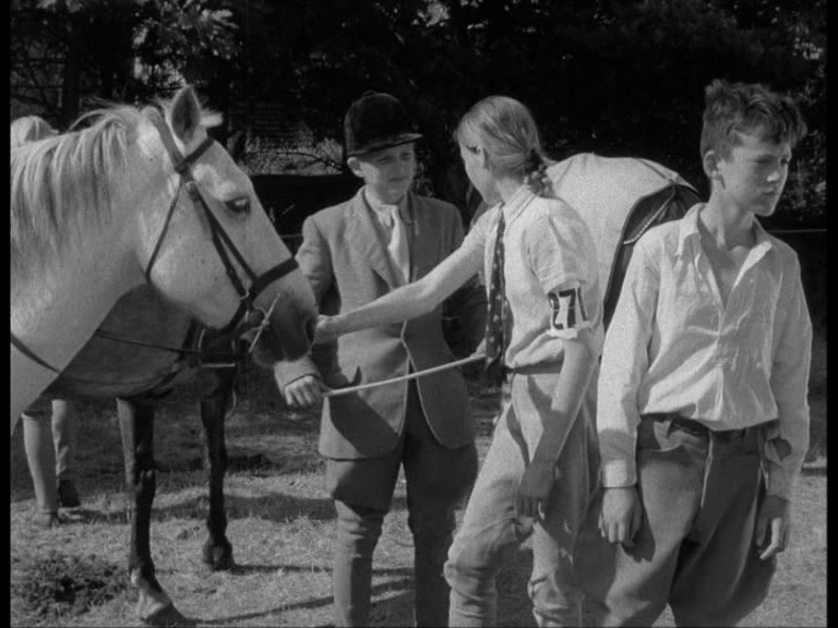 1952 stable rivals