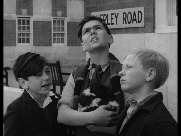 1953 dog and the diamonds