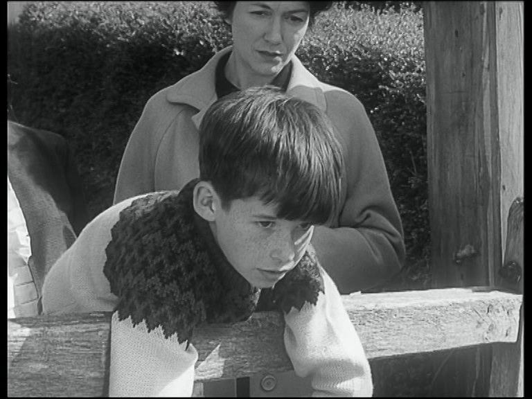 1963 beware of the dog