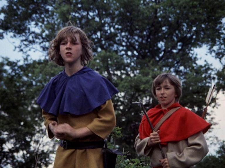 1975 robin hood junior