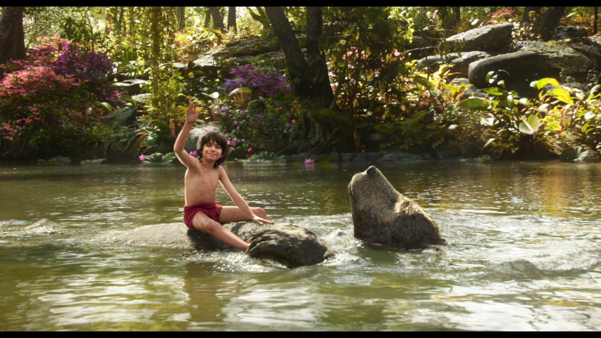 JungleBook 06