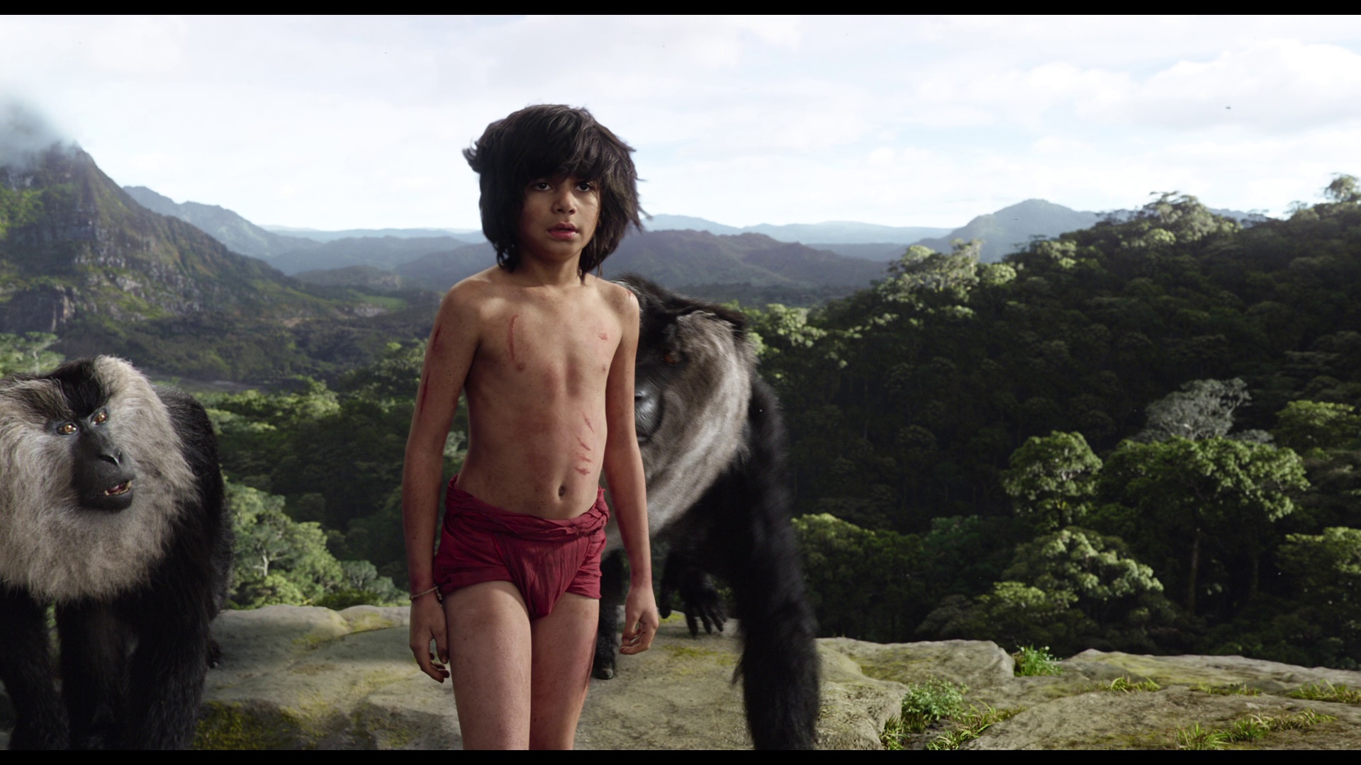 JungleBook 07