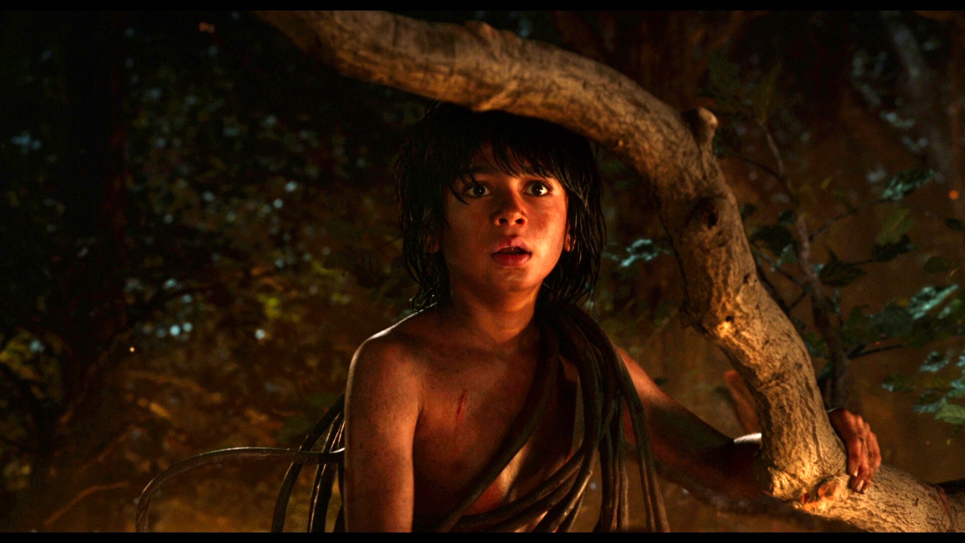 JungleBook 11 enh