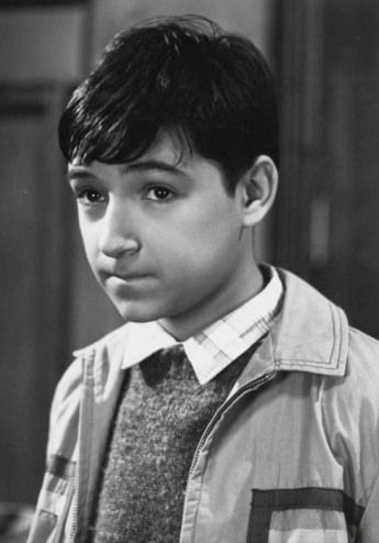 Davy banner