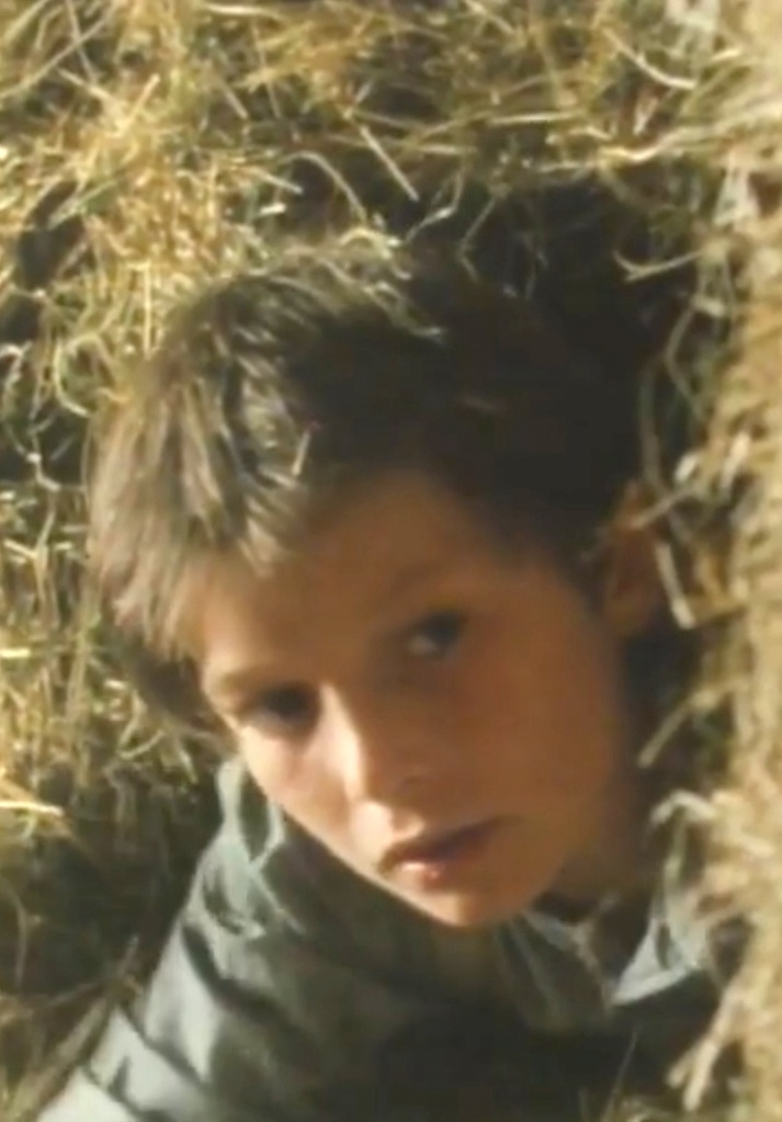 Davy banner