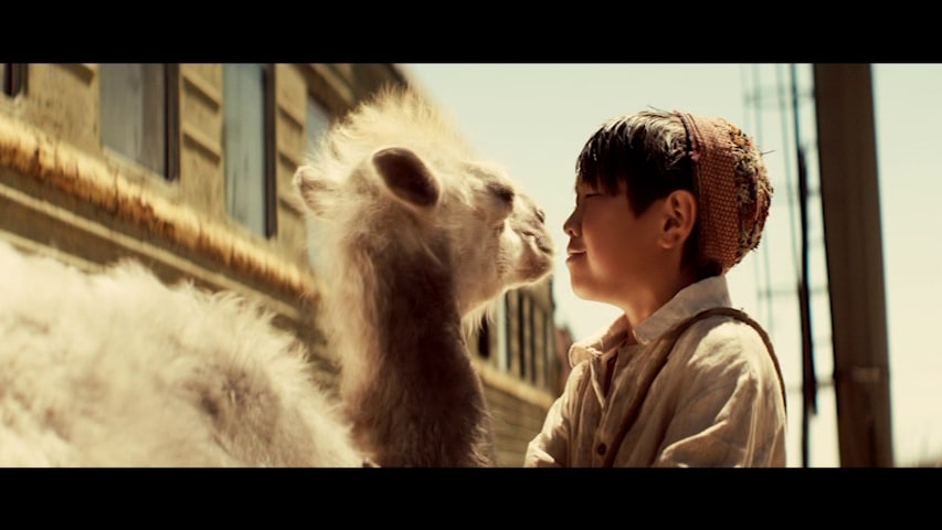 Celestial Camel 19