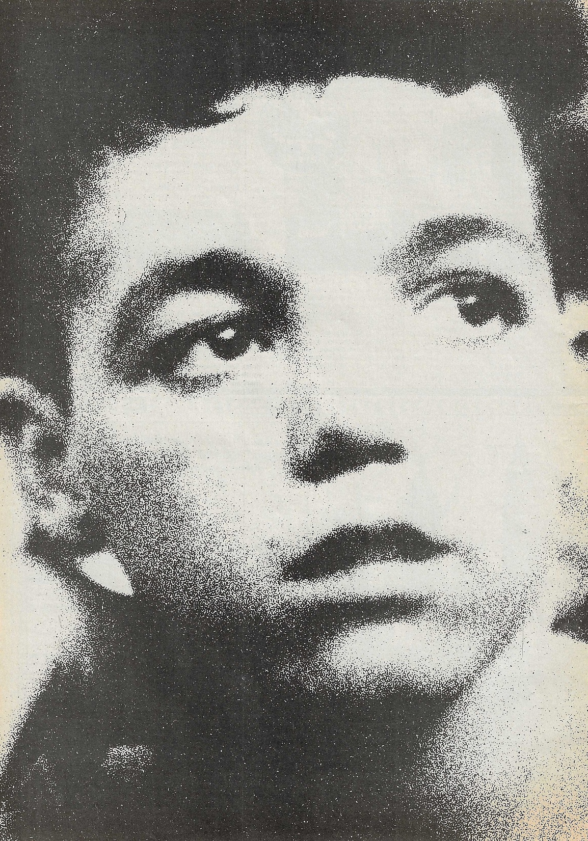 Davy banner
