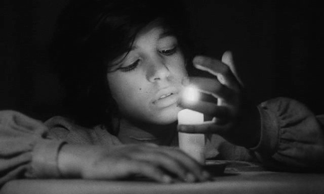 72 Wild Child Candle